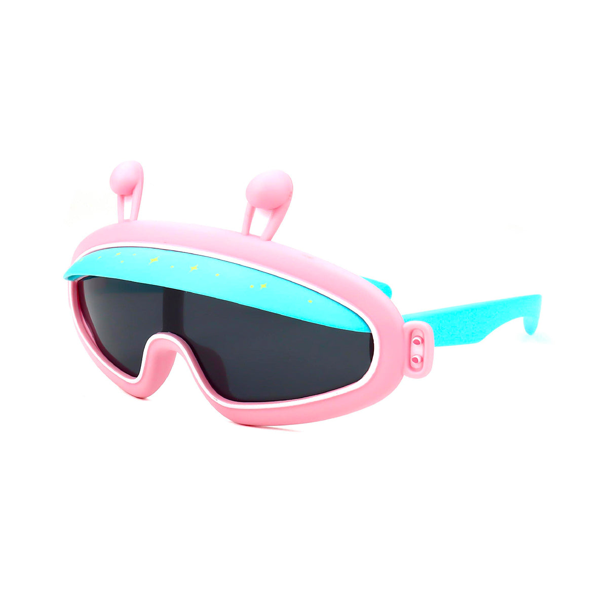 Sunglasses 30500111 C6